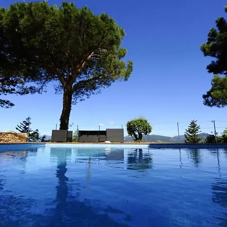 Villa With Magic View Of Bay Of Tropez Saint-Tropez